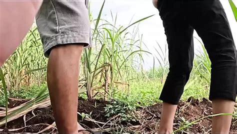 Pinay Outdoor Fuck XHamster