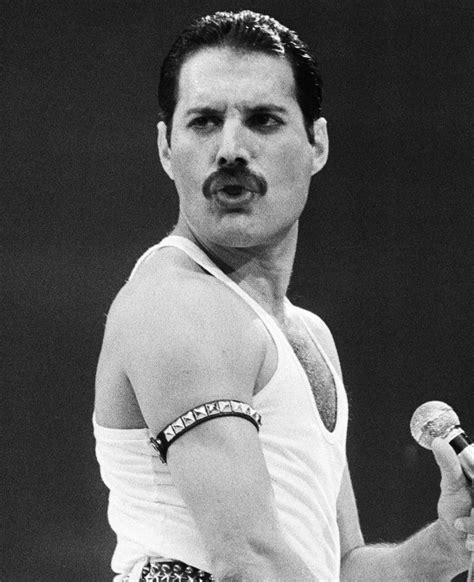 Freddie Mercury | Freddie mercury, Queen freddie mercury, Singer