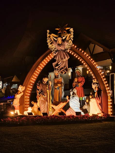 Nativity Star Photos, Download The BEST Free Nativity Star Stock Photos & HD Images