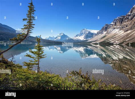 Bow Lake In Banff National Park Alberta Canada Stock Photo Alamy