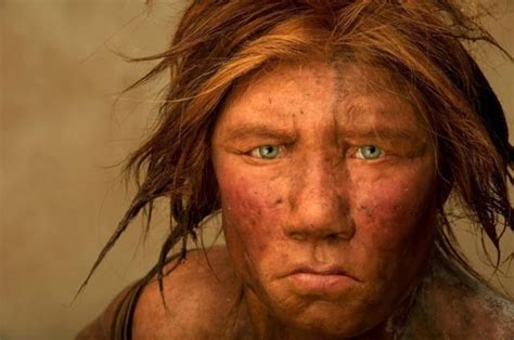 Apa Yang Kita Ketahui Tentang Kehidupan Seks Kaum Neanderthal Bbc News Indonesia