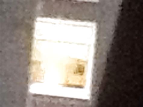 She Watched Me While She Was Naked Porn Pictures XXX Photos Sex Images 2118230 PICTOA