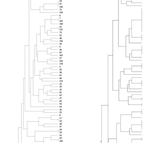 A Dendrogram Depicting The Genetic Relationships Among The 90