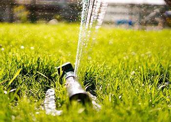 Watering Your Lawn Sydney Lawn Turf Supplies