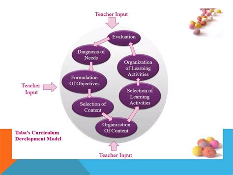 Wheeler Model Of Curriculum Development 7