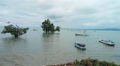 Edukasi Pemanfaatan Laut Sawu, Berikut Aktivitas yang Diperbolehkan ...