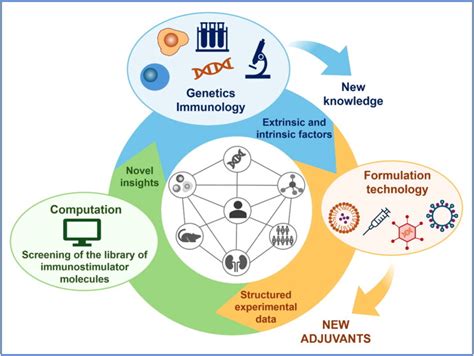advances  vaccine adjuvant development  future perspectives pmc