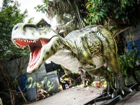 Exhibition Realistic Animatronic T Rex Only Dinosaurs