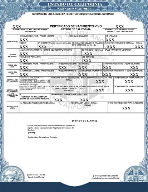 Birth Certificate Translation Template Uscis