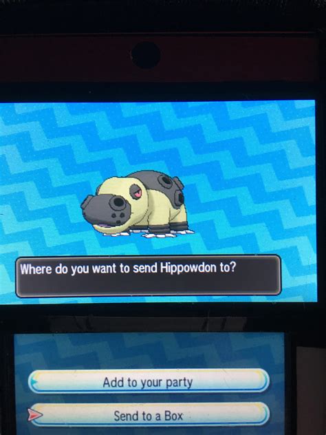 [7] Another hippowdon shiny! : ShinyPokemon