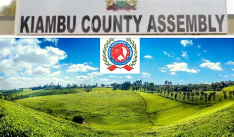 Kiambu County (022): Everything you Need to Know - 254 List