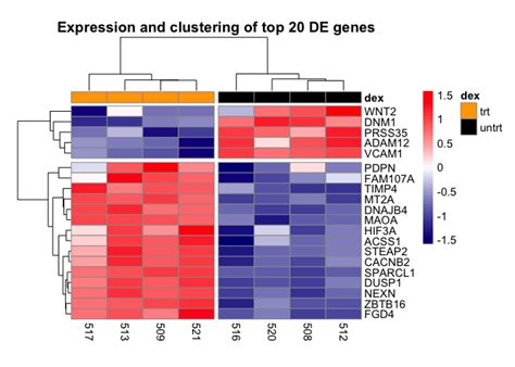 Lesson Visualizing Clusters With Heatmap And Dendrogram Data