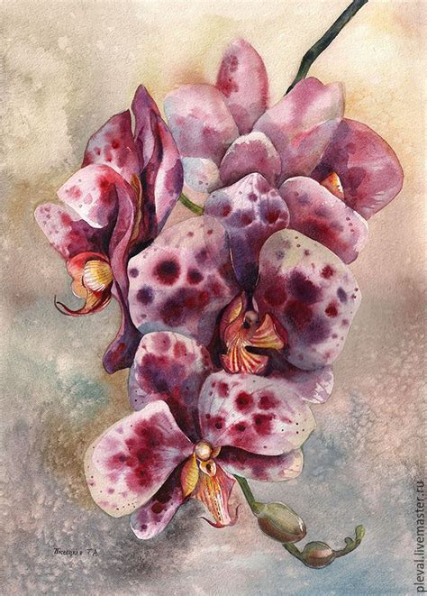 Акварели с орхидеями, серия из 4 работ в интернет-магазине на Ярмарке ...