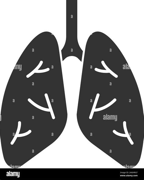 Human Lungs Glyph Icon Respiratory System Anatomy Silhouette Symbol