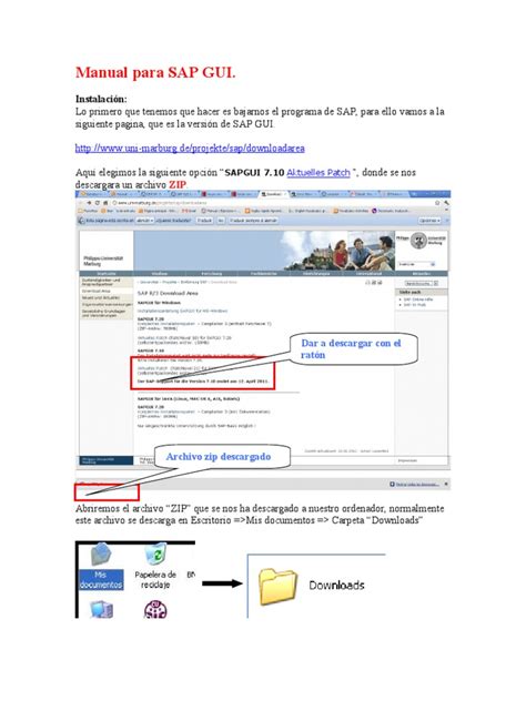 Manual para SAP GUI INSTALACIÓN | PDF | Correo electrónico | Contraseña 