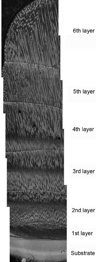 A Optical Micrograph Of The Transverse Cross Section Of A Rene N