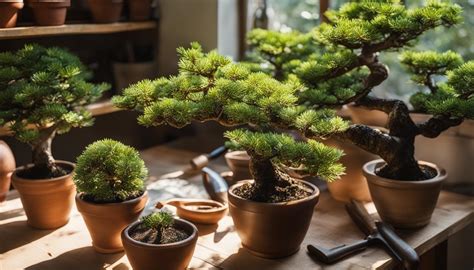 Grow and Care for Your Bonsai: Beginner's Ultimate Guide - Indoor Botanic