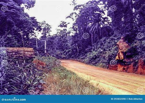 A Section of the Road between Bibiani and Dunkwa in Ghana, C.1959 Stock ...