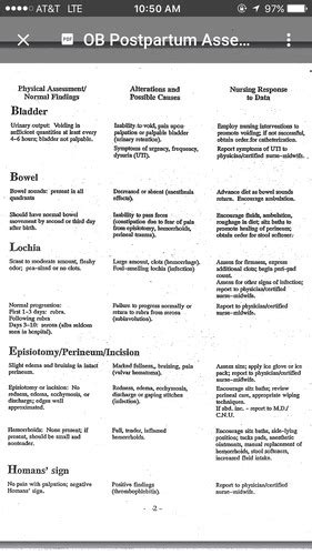 Point Postpartum Assessment Bubble He Flashcards Quizlet