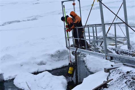 Underwater Robotic Vehicles Resident Auv Inspection Rov Boxfish