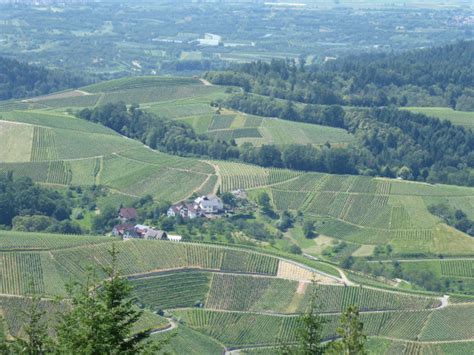 A Faire Le Felsenweg Ou Sentier Des Roches Depuis Kappelrodeck