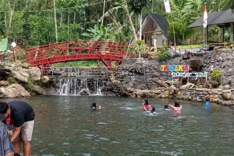 Serunya Nikmati Liburan Di Tanaka Waterfall Tempat Wisata Yang Viral