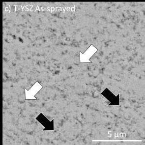 Sem Bse Images Of The Cross Section Of O Ysz Coating Heat Treated At A