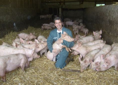 La ferme des cochons gourmands Tanavelle Cantal 15 Bienvenue à