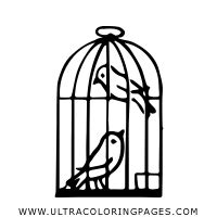 Gabbia Per Uccelli Disegni Da Colorare Ultra Coloring Pages