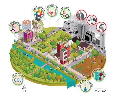 New EFI policy brief explores how trees and urban forests combat health