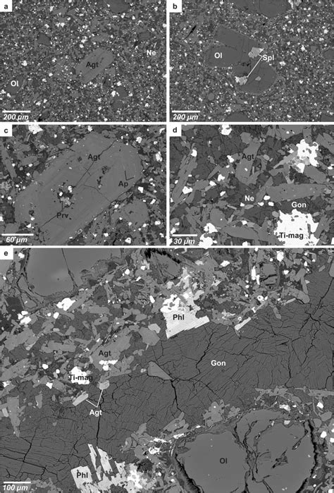 Back-scattered electron images of nephelinite from the Middle Atlas ...