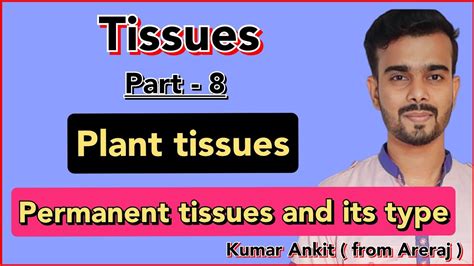 Plant Tissue। Permanent Tissue । Class 9 Biology Acharyaplus Youtube