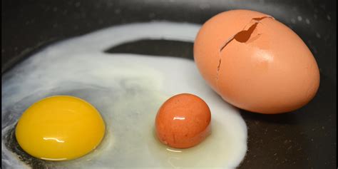 Couple Discover Egg Within An Egg When Making Dinner And Get A Little Bit Eggcited About It