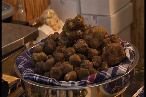 Mostra Del Tartufo Bianco Delle Crete Senesi Ad Asciano 17 Grandi Chef