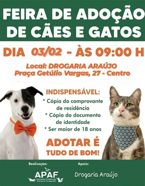 Feira De Ado O De C Es E Gatos Ser Realizada Em Formiga No S Bado