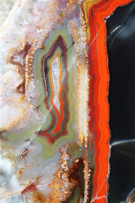 Specimen Of The Month From The KGS Collection Kentucky Agate