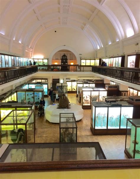 A Visit To The Horniman Museum Universal Histories And Universal Museums