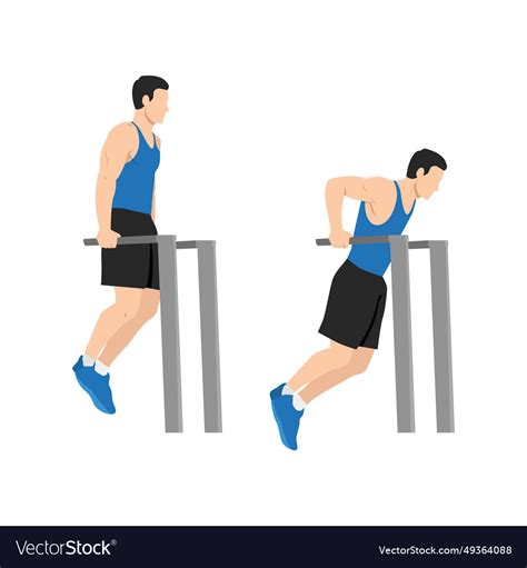 Man Doing Tricep Dip Exercise Royalty Free Vector Image