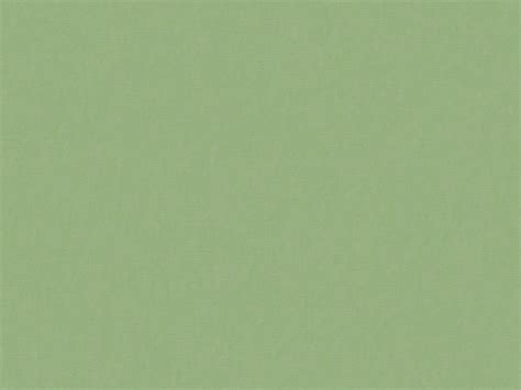 Светло зеленый фон однотонный пастельный - фото и картинки abrakadabra.fun