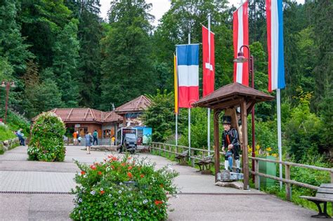 Black Forest In Bavaria Germany Untouched Nature With Mountains