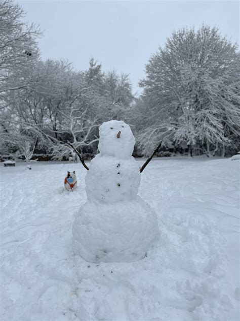 Snowstorm thread! : r/plattsburgh