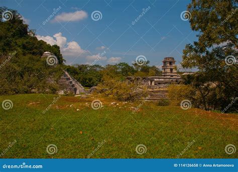 palenque chiapas mexico archaeological area  ruins temples