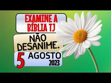 NÃO DESANIME EXAMINE A BÍBLIA TJ YouTube