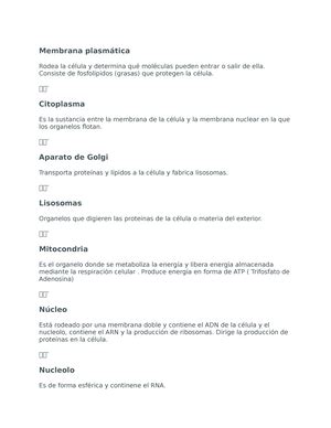 Cuadernillo Practicas Anatomia General Humana Osteolog A Anatomia