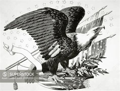 Bald eagle and other patriotic symbols of the American Revolutionary ...