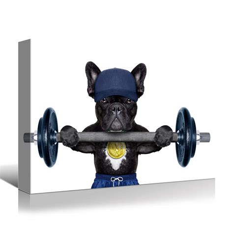 funny animal lifting weights 4