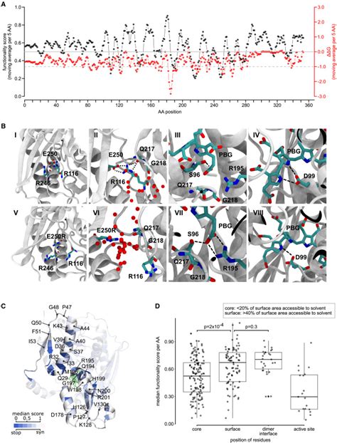 Systematically Testing Human Hmbs Missense Variants To Reveal Mechanism