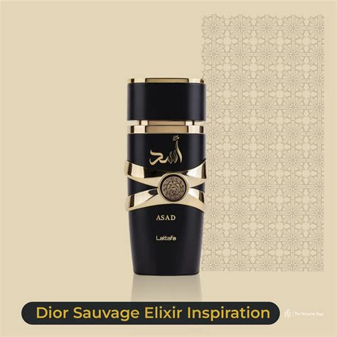 lattafa asad eau de parfum  perfume guys