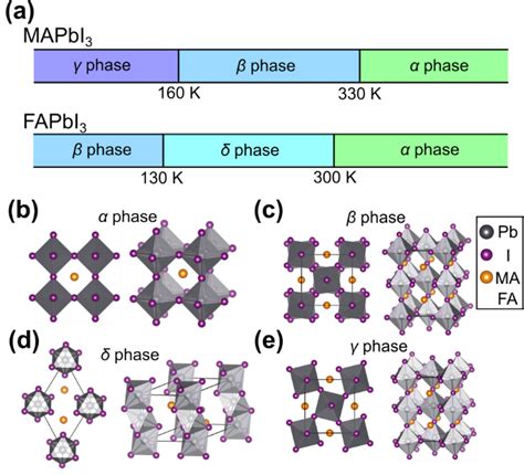 A The Phase Variations Of MAPbI3 And FAPbI3 At Various Temperatures