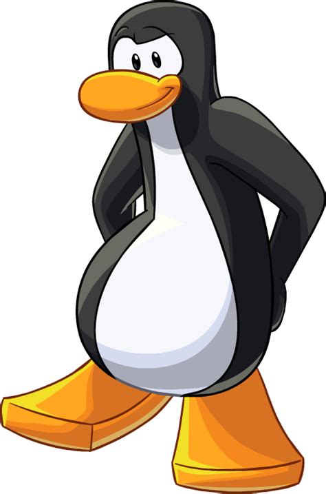 Black Penguin (PNG) by penguinartist1999 on DeviantArt